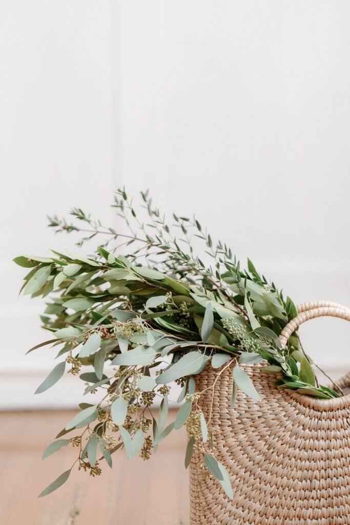 Eucalyptus in basket - The Myth of Self Care by Wildflower Virtual Assistant Services in Holmfirth