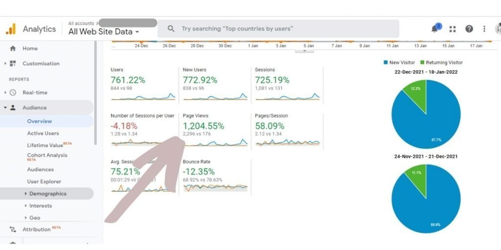 Google Analytics Screenshot from a blog post about Google Analytics for Beginners by Wildflower Pinterest Management